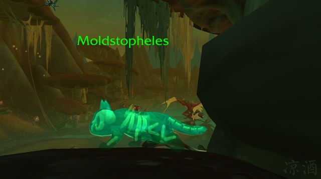 《魔兽世界》亡命九条猫位置介绍