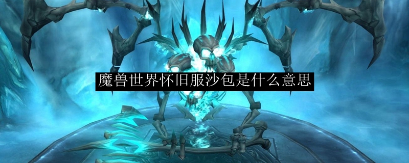 魔兽世界怀旧服沙包是什么意思