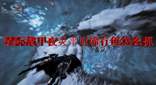 星际战甲夜灵平原稀有鱼怎么抓