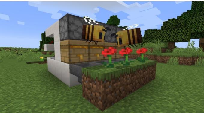 我的世界自动采蜜机怎么做