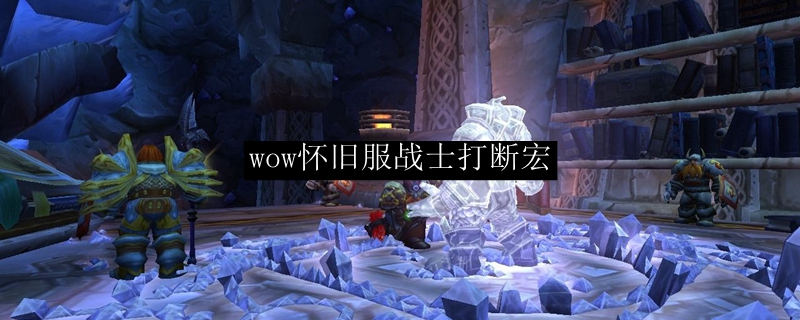 wow怀旧服战士打断宏