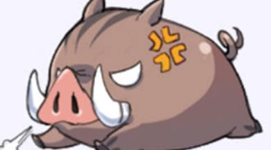 原神野猪哪里多