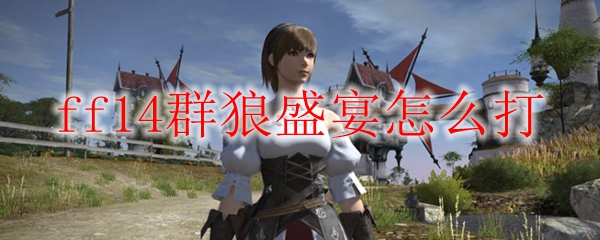 ff14群狼盛宴怎么打
