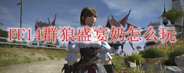 FF14群狼盛宴奶怎么玩
