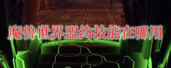 魔兽世界盟约技能在哪用