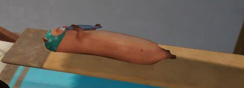 剑网三白日梦奇遇攻略