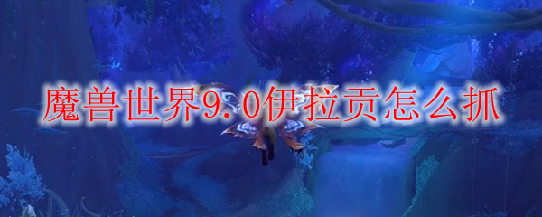 魔兽世界9.0伊拉贡怎么抓