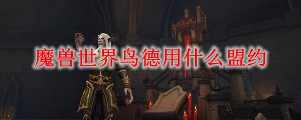 魔兽世界鸟德用什么盟约