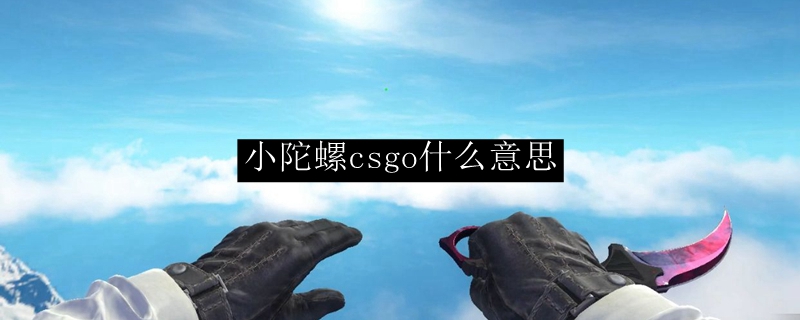 小陀螺csgo什么意思