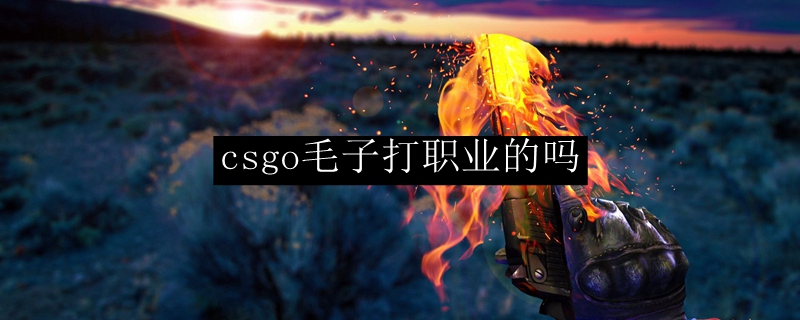 csgo毛子打职业的吗