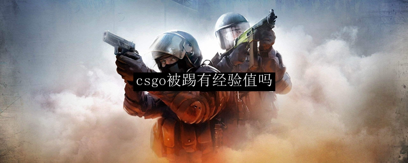 csgo被踢有经验值吗