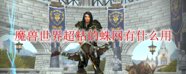 魔兽世界超粘的蛛网有什么用
