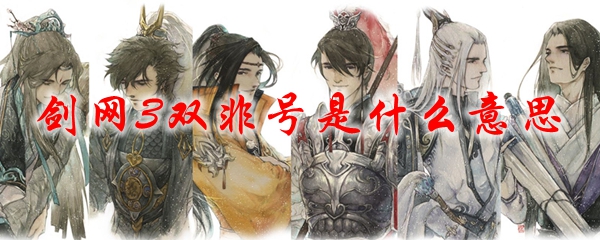 剑网3双非号是什么意思