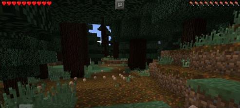 我的世界针叶林种子代码分享2021