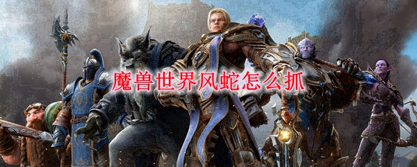 魔兽世界风蛇怎么抓