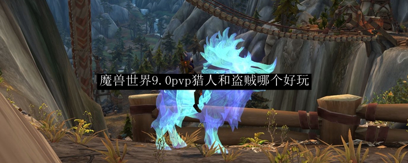 魔兽世界9.0pvp猎人和盗贼哪个好玩