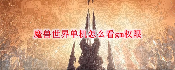 魔兽世界单机怎么看gm权限