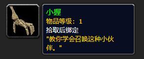 《魔兽世界》小握介绍