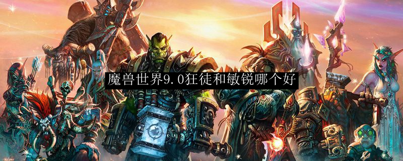 魔兽世界9.0狂徒和敏锐哪个好