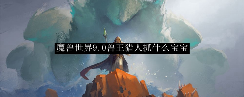 魔兽世界9.0兽王猎人抓什么宝宝