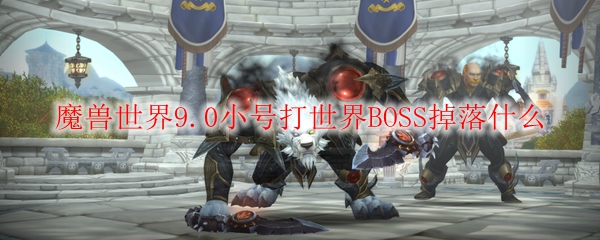 魔兽世界9.0小号打世界BOSS掉落什么