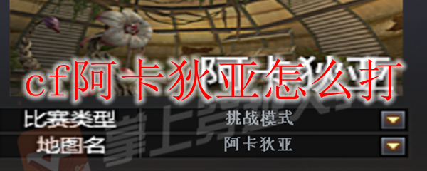 cf阿卡狄亚怎么打