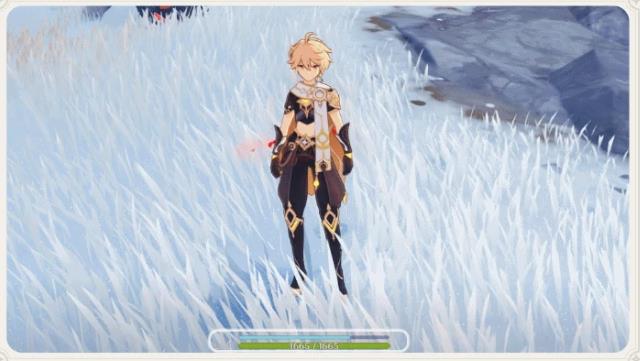 原神龙脊雪山怎么防止冻伤