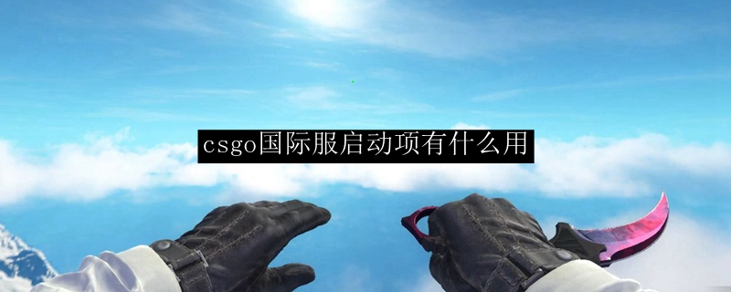 csgo国际服启动项有什么用
