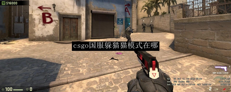 csgo国服躲猫猫模式在哪