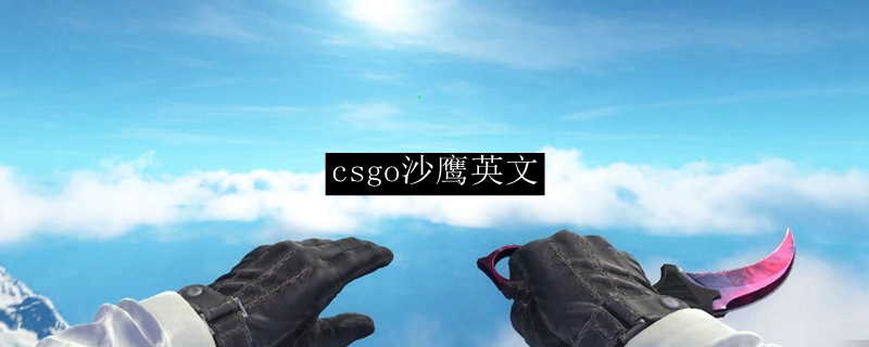 csgo沙鹰英文