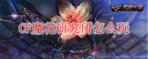 CF魔花研究所怎么玩