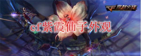 cf紫霞仙子外观