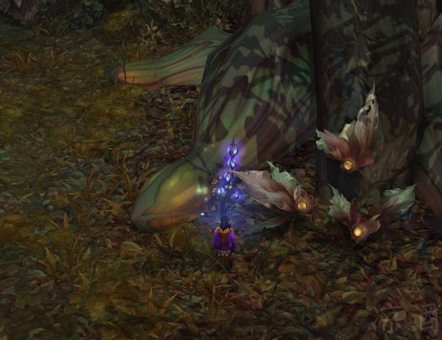 《魔兽世界》炽蓝仙野隐藏成就攻略