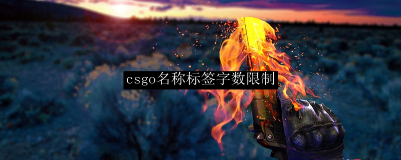 csgo名称标签字数限制