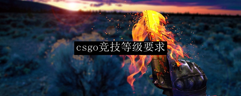 csgo竞技等级要求