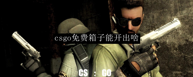 csgo免费箱子能开出啥