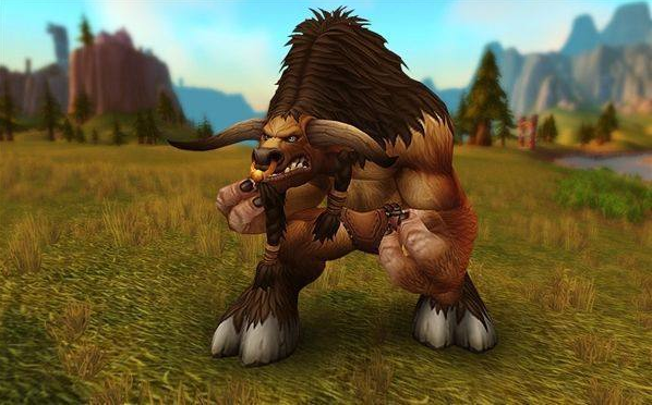 魔兽世界TBC玩什么阵营