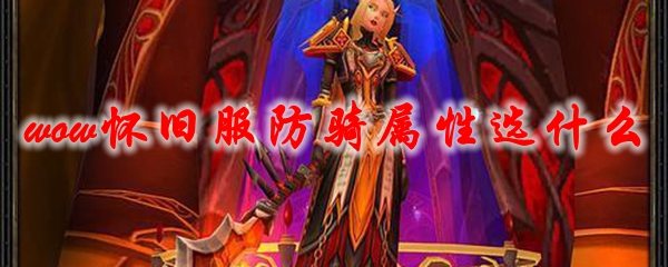 魔兽世界怀旧服防骑属性选什么