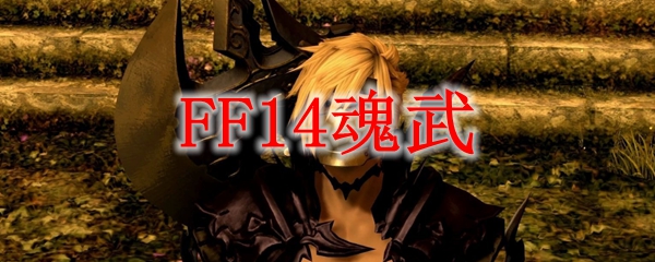 FF14魂武