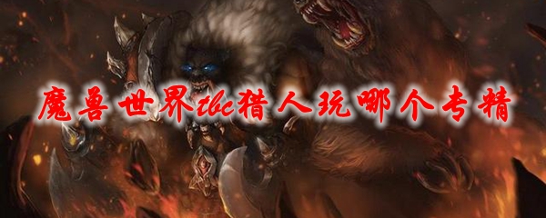 魔兽世界tbc猎人玩哪个专精