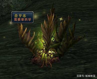 《魔兽世界》tbc怀旧服草药大全