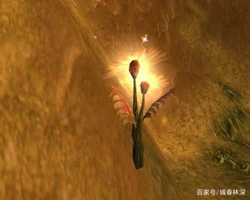 《魔兽世界》tbc怀旧服草药大全