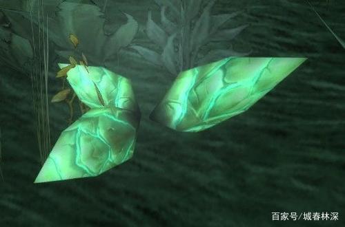 《魔兽世界》tbc怀旧服草药大全