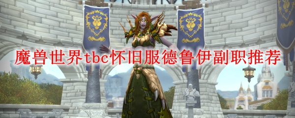 魔兽世界tbc怀旧服德鲁伊副职推荐