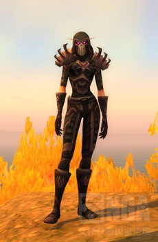 《魔兽世界》tbc盗贼套装外观效果一览