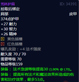 《魔兽世界》荒林护肩属性