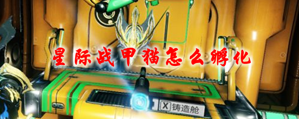 星际战甲猫怎么孵化