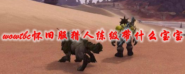 魔兽世界tbc怀旧服猎人练级带什么宝宝