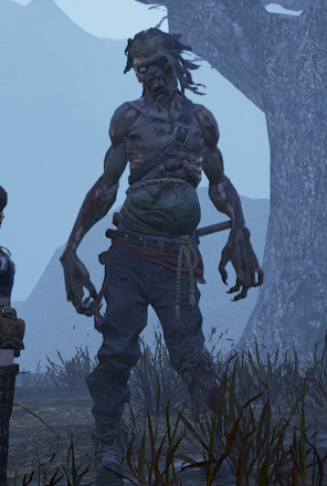 《神佑释放》泰勒尼流域稀有怪哪里刷