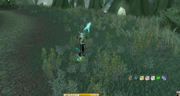 魔兽世界tbc怀旧服猎人召唤宏设置